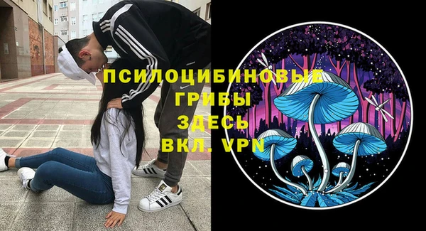 спайс Абинск