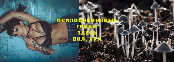 спайс Абинск