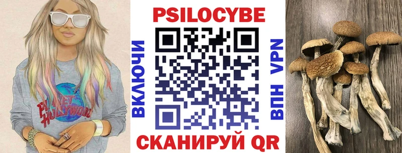 Галлюциногенные грибы мухоморы Магнитогорск